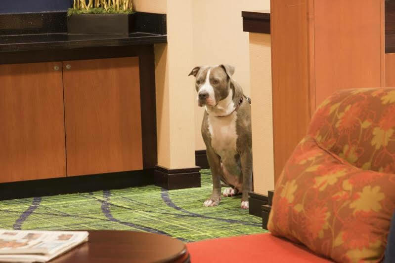 Fairfield Inn & Suites By Marriott Texarkana Bagian luar foto